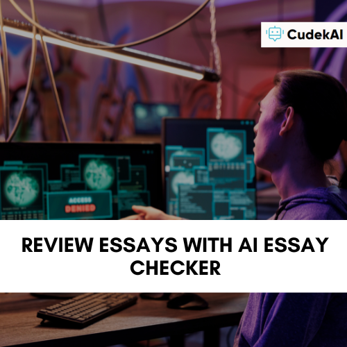 Review Essays with AI Essay Checker